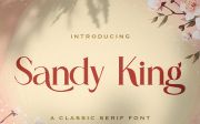 Sandy King - Casual Serif Font