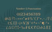 Collager - Modern Serif Family Font