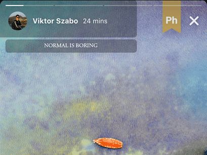 Behance Story Template (Free download)