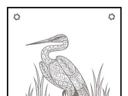 6 Birds Coloring Book Pages KDP Interior.