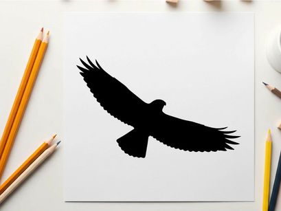 Silhouette of a bird in flight with outstretched wings