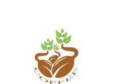Coffee bean icon vector illustration template
