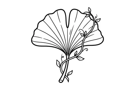 Elegant fan with floral design. Traditional accessory for fashion and decor.