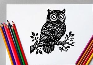 Black and White Owl Illustration for Creative Design and Art
