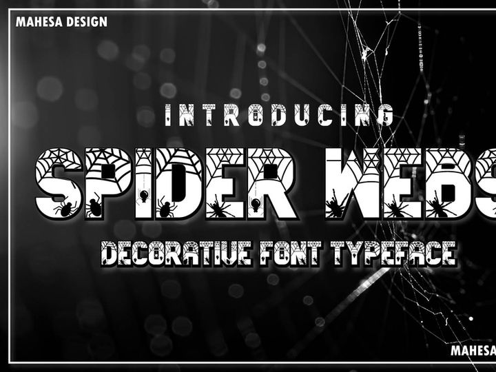 Spider Webs