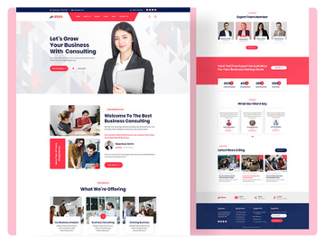 Consulting Landing Page Templates preview picture