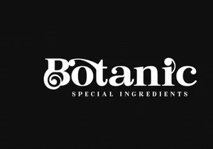 Bastine Modern Classy Serif Font