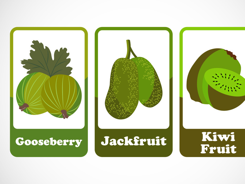 Fruit flashcards for kids. Educational cards for preschool. Printable vector illustration