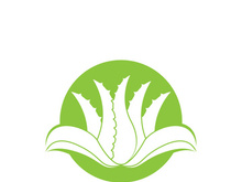 Aloe Vera logo icon design symbol beauty skin care