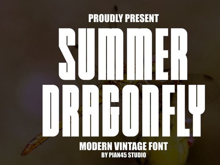 Summer Dragonfly - Modern Vintage Font