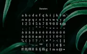 Evergreen typeface