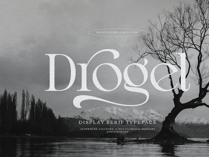 Drogel | Display Serif Font