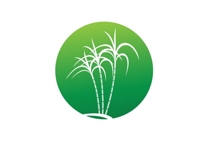 Sugarcane logo vectcr