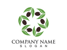 Extra virgin olive oil logo icon design vector illustration