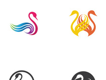 Swan logo Premium and symbol Vector