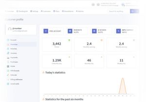 TrafficLink Pro v1.0 - Traffic Exchange Service