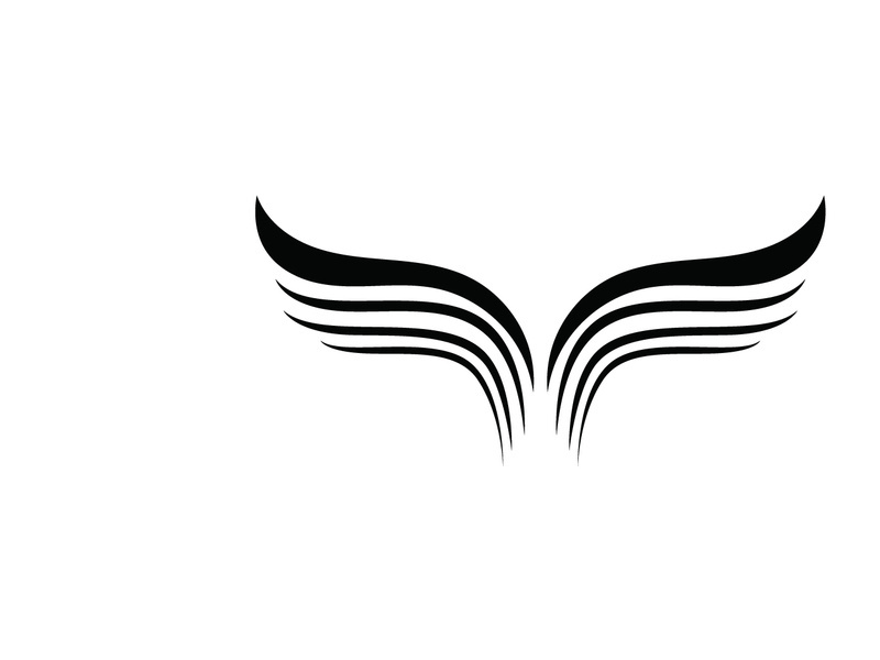 Wing Bird logo images illustration design