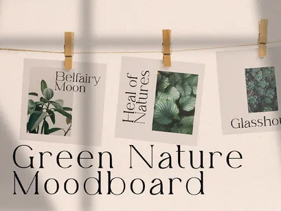 Belfina Husairy - Classic Serif Font