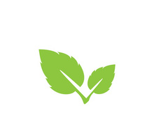 Leaf logo vector icon design template