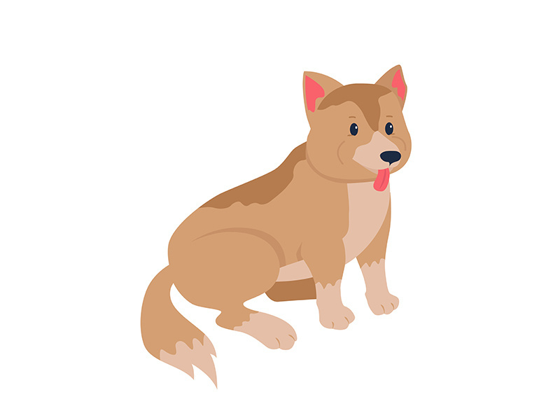 Mixed-breed dog adoption semi flat color vector character
