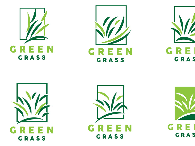 Green Grass Logo, Nature Plant Vector