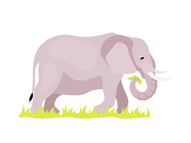 Elephant flat color vector illustration