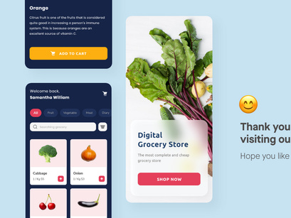 Grocery Design App UI Kit