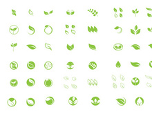 Leaf green nature tree logo vector icon