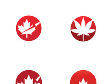 Canadian maple leaf logo design with a creative idea.