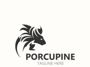 Porcupine logo design. animal vintage minimalist logo Hedgehog modern template icon