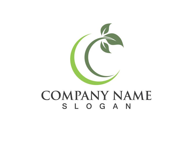 Eco Energy Vector Logo with leaf symbol. Green color with flash or thunder graphic. Nature and electricity renewable. This logo is suitable for technology, recycle, organic.