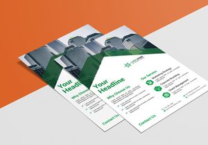 Professional Flyer