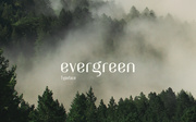 Evergreen typeface