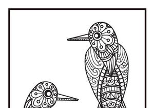 6 Bird Coloring Book Pages KDP Interior.