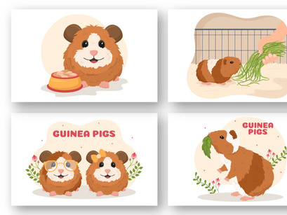 10 Guinea Pig Pets Illustration