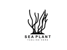 Seaweed Logo, Sea Plants Vector Design, Grocery And Nature Protection