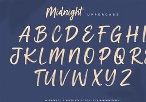 Midnight - Brush Script Font