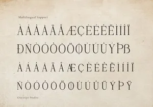 Rinovich | Display Serif Font