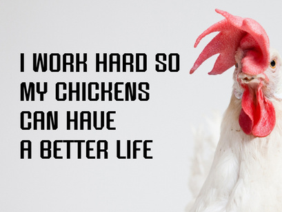 Chicken Stickers