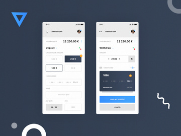 Deposit & Withdraw - iOS App preview picture