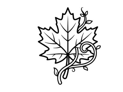 Stilisierte Ahornblatt-Illustration. Künstlerisches botanisches Design mit filigraner Linienarbeit