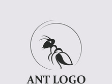 Ant logo design silhouette. Isolated animal ants on background design template vector