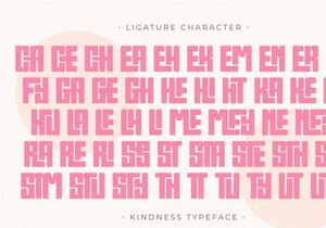Kindness - Modern Sans Display Font
