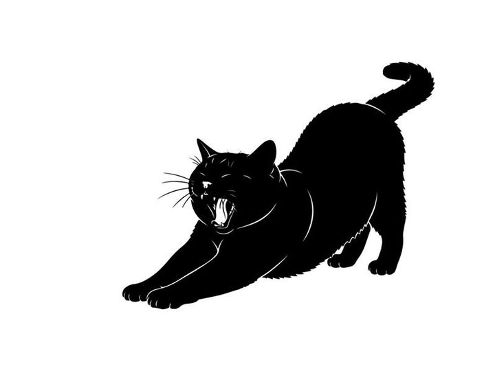 Black cat silhouette in aggressive stance with open mouth and sharp teeth