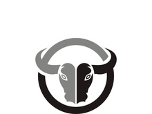 Bull head logo vector icon design illustration