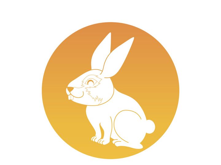 Rabbit logo