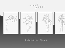 Columbine Flower