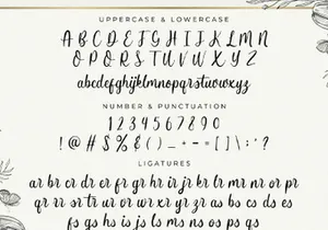 Butterfly Winter - Handwritten Font