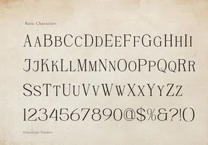 Rinovich | Display Serif Font
