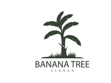 Banana Tree Logo, Banana Tree Simple Silhouette Design